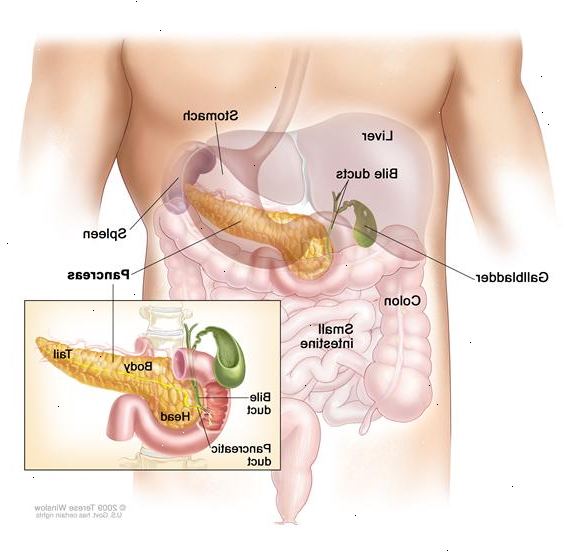 Cancer i bukspottskörteln behandling